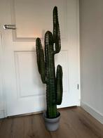 Cactus kunst, Ophalen of Verzenden
