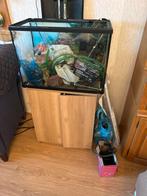 Aquarium werkend, Ophalen, Leeg aquarium