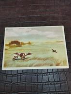oude ansichtkaart van de USSR met een filocarty-jachtthema, Verzamelen, Posters, Ophalen of Verzenden, Gebruikt, Rechthoekig Staand