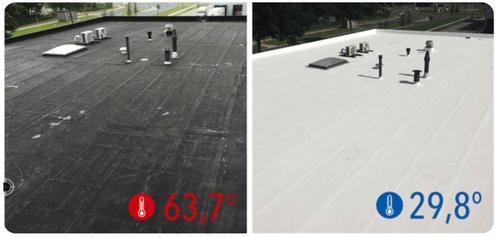 Duurzame platdak renovatie dmv witte siliconen dakbedekking, Diensten en Vakmensen, Dakdekkers en Rietdekkers, Bitumineus, Overige dakdekking
