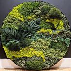 Mosschilderij 60 cm diameter, Ophalen of Verzenden