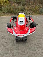 Tekoop birel art mini, Sport en Fitness, Karting, Ophalen of Verzenden, Zo goed als nieuw, Kart