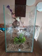 Fluval chi aqaurium, Ophalen, Leeg aquarium