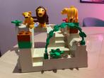 Duplo leeuwenrots setnummer onbekend, Ophalen of Verzenden, Zo goed als nieuw, Complete set, Duplo