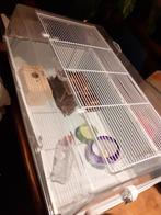 hamsterkooi met toebehoren, Dieren en Toebehoren, Kooi, Hamster, Minder dan 75 cm, Zo goed als nieuw