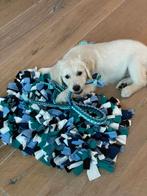 Snuffelmatten voor honden, katten, paarden en knaagdieren, Ophalen of Verzenden, Nieuw