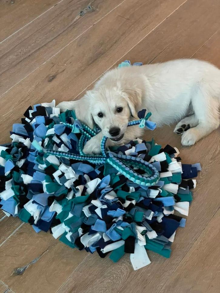 Snuffelmatten voor honden, katten, paarden en knaagdieren, Dieren en Toebehoren, Overige Dieren-accessoires, Nieuw, Ophalen of Verzenden