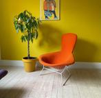 Harry Bertoia Bird Chair door Knoll, Gebruikt, Metaal, Ophalen