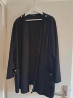 Leuk nieuw vest valt als een 48, Ophalen of Verzenden, Zo goed als nieuw, Trui of Vest