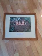Anne geddes schilderij, Gebruikt, 50 tot 75 cm, Ophalen of Verzenden, Schilderij
