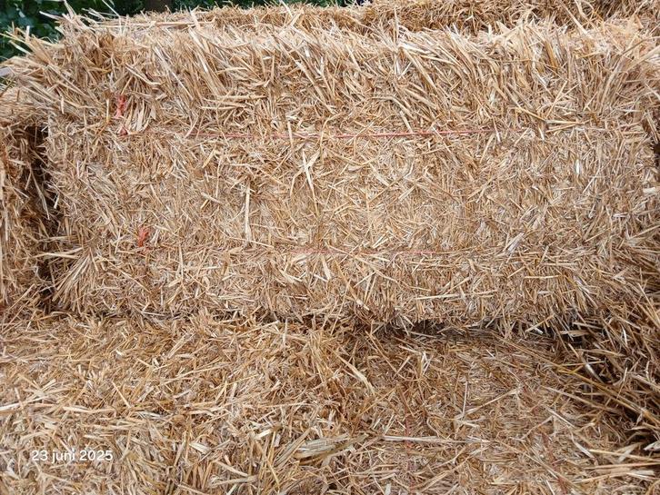 Kleine pakjes Stro, Dieren en Toebehoren, Dierenvoeding, Vee, Ophalen of Verzenden