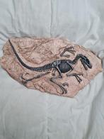 Namaak Dino Fossiel met Standaard, Ophalen of Verzenden, Nieuw