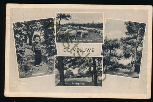 De Veluwe [KRST005-4032, Verzamelen, Ansichtkaarten | Nederland, Gelopen, Gelderland, 1960 tot 1980, Verzenden