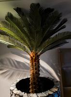 NIEUW UNIEK GROTE KUNST PALMBOOM 160CM ERIC ERIK KUSTER, Ophalen, Nieuw