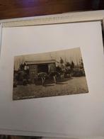 ALPHEN A.D RIJN. AVIFAUNA. VOGELPARK. 1950, Ophalen of Verzenden, 1940 tot 1960, Zuid-Holland