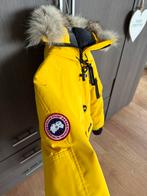 Canada goose, Ophalen of Verzenden, Zwart