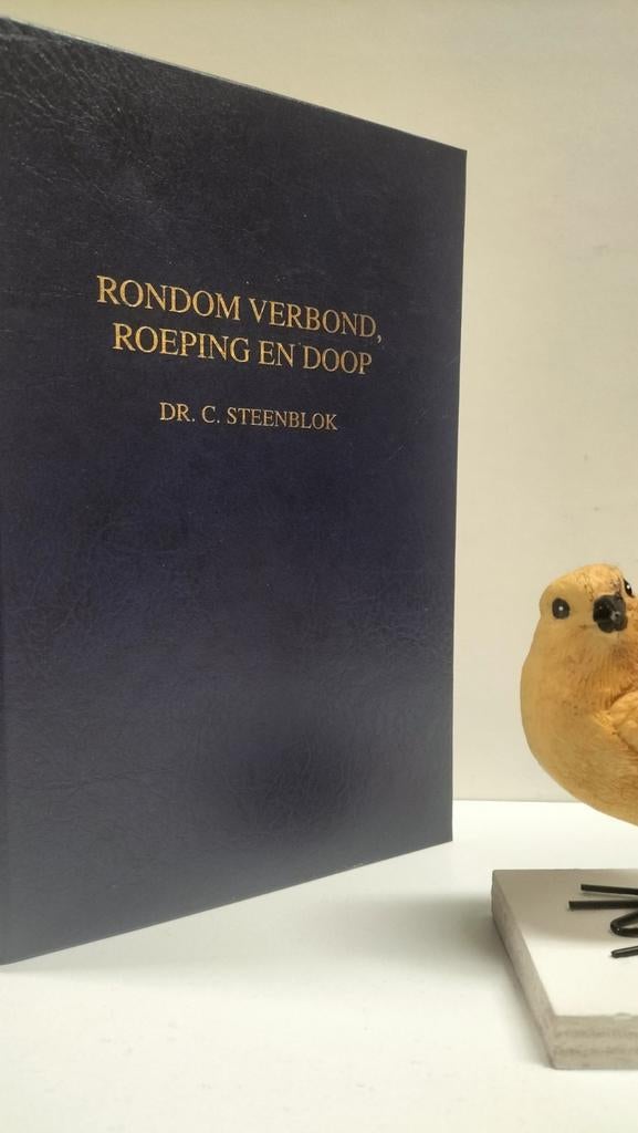 Steenblok, Dr. C.; Rondom verbond, roeping en doop, Boeken, Ophalen of Verzenden, Gelezen, Christendom | Protestants