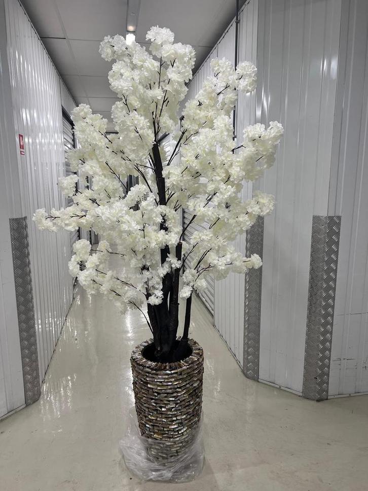 Schelpenvazen met bloesem boom, Huis en Inrichting, Woonaccessoires | Vazen, Zo goed als nieuw, Wit, Minder dan 50 cm, Aardewerk of Porselein