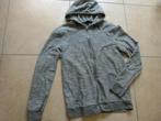 Sweater trui capuchon grijs maat M Clockhouse, Kleding | Heren, Truien en Vesten, Maat 48/50 (M), Ophalen of Verzenden, Zo goed als nieuw