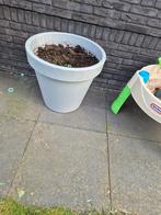 Grote XL Grijze Bloempot, Tuin en Terras, Bloembakken en Plantenbakken, Tuin, Kunststof, Gebruikt, Rond