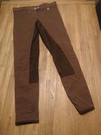 Zgan Rijbroek Cavallo Champion 40/42, Dieren en Toebehoren, Paardrijkleding, Ophalen of Verzenden, Zo goed als nieuw, Dressuur