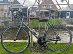 Perfecte Koga Kimena Road 105 met Shimano RS81 wielset, Meer dan 20 versnellingen, 61 tot 65 cm, Koga Miyata, Heren