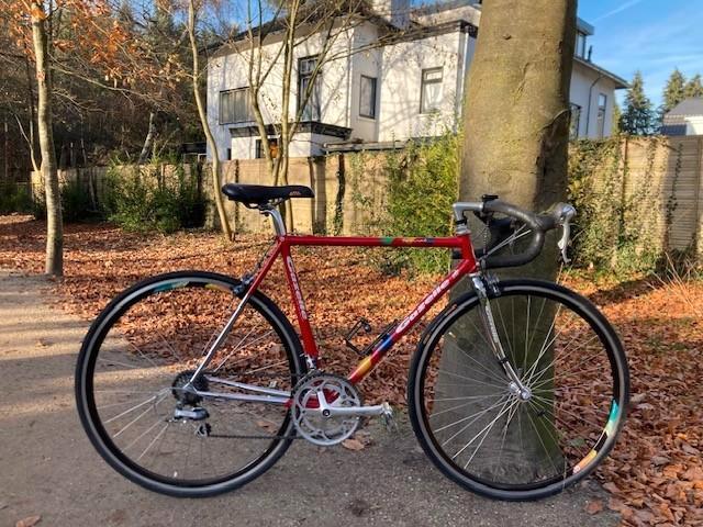 Gazelle Special 54 cm ct, Fietsen en Brommers, Fietsen | Racefietsen, Gebruikt, Gazelle, 15 tot 20 versnellingen, 28 inch, Staal