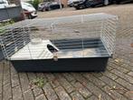 Konijn kooi, Dieren en Toebehoren, Knaagdieren en Konijnen | Hokken en Kooien, Kooi, Cavia, Zo goed als nieuw, 75 tot 110 cm