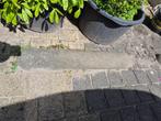 Biggenrug - varkensrug - betronrand - 2 stuks, Tuin en Terras, Ophalen, Zo goed als nieuw
