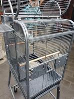 leuke papagaaien kooi, Dieren en Toebehoren, Ophalen of Verzenden, Zo goed als nieuw, Metaal, Vogelkooi