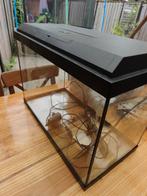 Juwel aquarium 60 x 30 x 45 (incl kap) met kastje, Ophalen, Gebruikt, Leeg aquarium