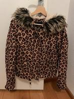 Only winterjas XS - Luipaardprint, Ophalen of Verzenden, Zo goed als nieuw, Maat 34 (XS) of kleiner, Bruin
