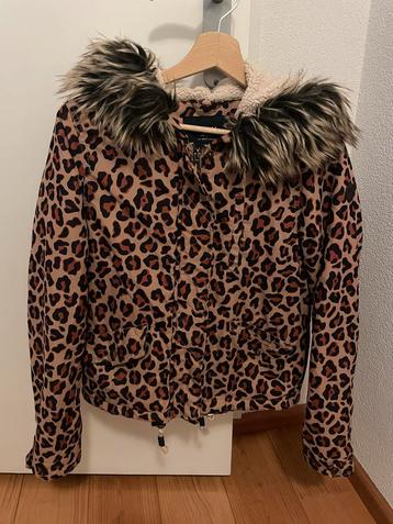 Only winterjas XS - Luipaardprint beschikbaar voor biedingen