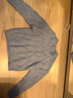 Blauwe wollen trui, Blauw, Maat 42/44 (L), Ophalen of Verzenden, Zo goed als nieuw
