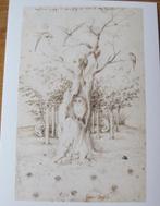 Jeroen Bosch - het bos heeft oren - uil - 1502 - nieuw, Verzamelen, Verzenden, 1980 tot heden, Ongelopen, Overige thema's