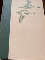 Birds of America, Ophalen of Verzenden, Gelezen