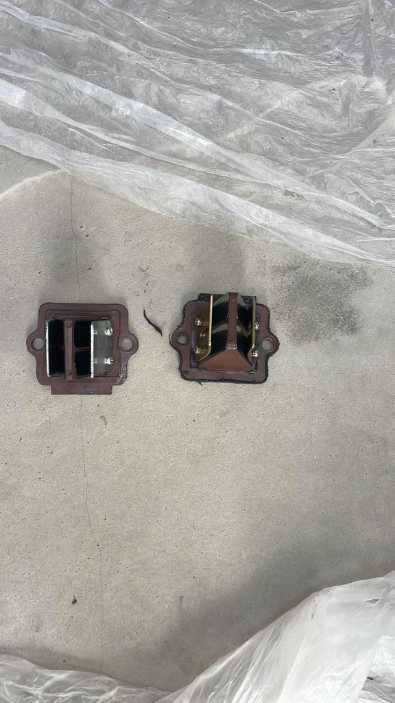 Polini membraam, Fietsen en Brommers, Brommeronderdelen | Algemeen, Zo goed als nieuw, Ophalen of Verzenden