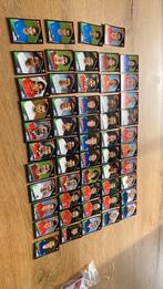 54 x panini ek 2004 achter en voorzijde als nieuw, Ophalen of Verzenden, Zo goed als nieuw, Plaatje