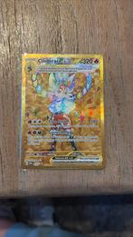 cinderace svp163, Hobby en Vrije tijd, Verzamelkaartspellen | Pokémon, Ophalen of Verzenden, Zo goed als nieuw
