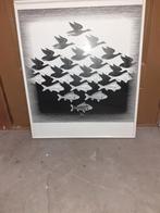 Vogels of vissen, Ophalen, Zo goed als nieuw