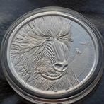 2022 Cameroon 1 oz silver Mandrill BU, Ophalen of Verzenden, Overige landen, Zilver