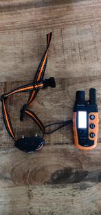 Trainingshalsband Robust Rise – met trilling en piepfunctie, Ophalen of Verzenden