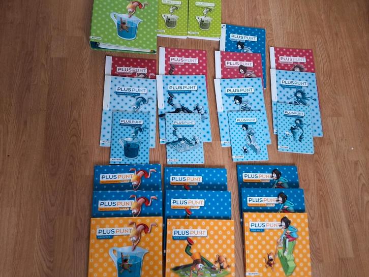 Pluspunt 3 divers boeken, Boeken, Schoolboeken, Gelezen, Nederlands, Overige niveaus, Ophalen of Verzenden