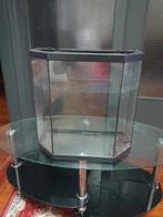 Aquarium, Ophalen of Verzenden