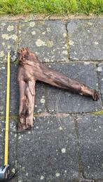Kienhout 16, Dieren en Toebehoren, Vissen | Aquaria en Toebehoren, Ophalen, Plant(en), Steen of Hout