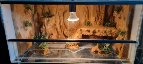 Terrarium 60x30x30, Dieren en Toebehoren, Reptielen en Amfibieën | Toebehoren, Zo goed als nieuw, Terrarium of Paludarium, Ophalen