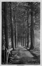 (377-648-019) Hulshorst Lommerijk Laantje, Verzamelen, Ansichtkaarten | Nederland, Verzenden, Gelderland