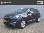 Opel Grandland X 1.2 Turbo Business Executive | Trekhaak | A, Stof, 1199 cc, Blauw, Bedrijf