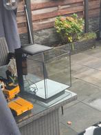 Aquariums nanocube, Dieren en Toebehoren, Reptielen en Amfibieën | Toebehoren, Ophalen
