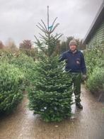 kerstbomen  vanaf 28-11, Ophalen, Nieuw